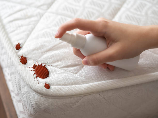 Best Pest Control Treatment  in Centerport, NY